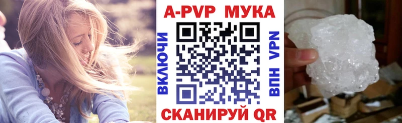 A PVP СК КРИС  Мосальск 