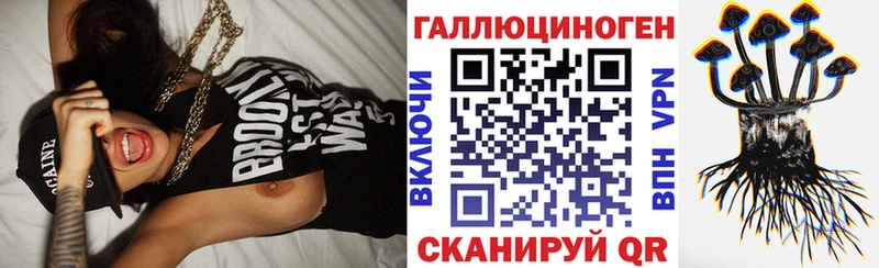 где продают   Мосальск  Псилоцибиновые грибы мицелий 